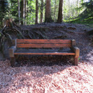 BK_Wassertrete Tosters 11.JPG
