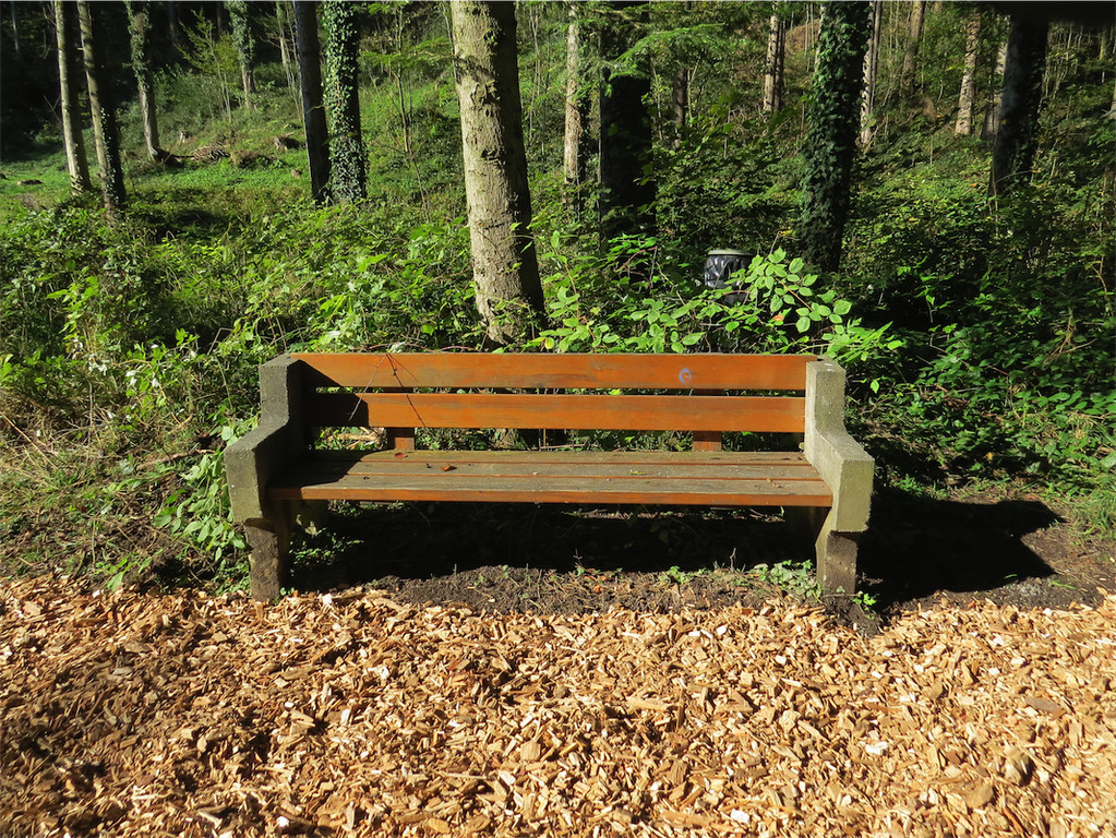 BK_Wassertrete Tosters 12.JPG