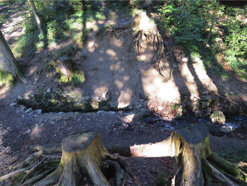 BK_Wassertrete Tosters 14.JPG