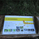 BK_Wassertrete Tosters 2.JPG