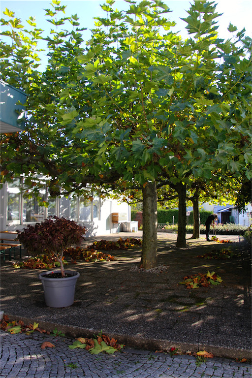 BK_Hotel Bu__chel am Ende 7.jpg