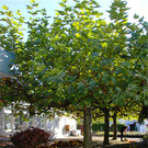 BK_Hotel Bu__chel am Ende 7.jpg