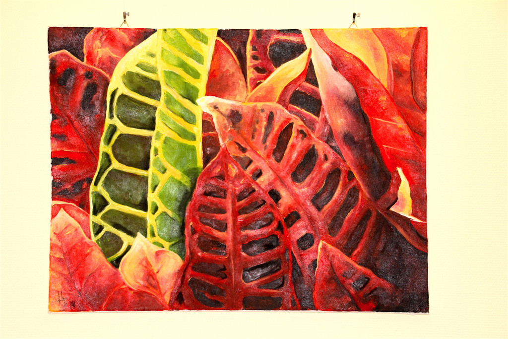 BK_Ausstellung Altenstadt_Helmut Barta 6.JPG