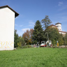 Gasleitung Lochau _15_.JPG