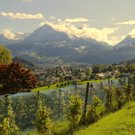 KOE_Traubenlese Chardonnay Goefis 1.jpg