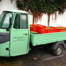 KOE_Traubenlese Chardonnay Goefis 9.jpg