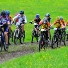 DSC_6559_jpg-1272994757