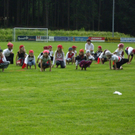 IMGP2560_JPG-1272996968
