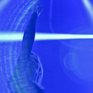 Helene Fischer live in Wien