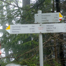 DSC01376.JPG