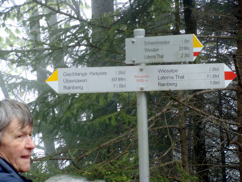 DSC01376.JPG