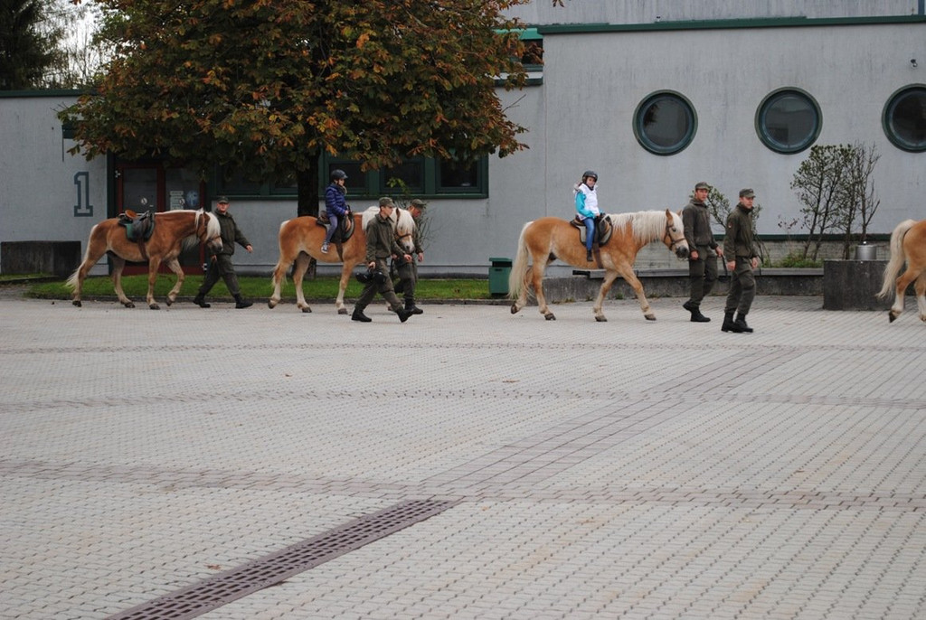 DSC_0595.JPG