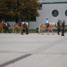 DSC_0595.JPG