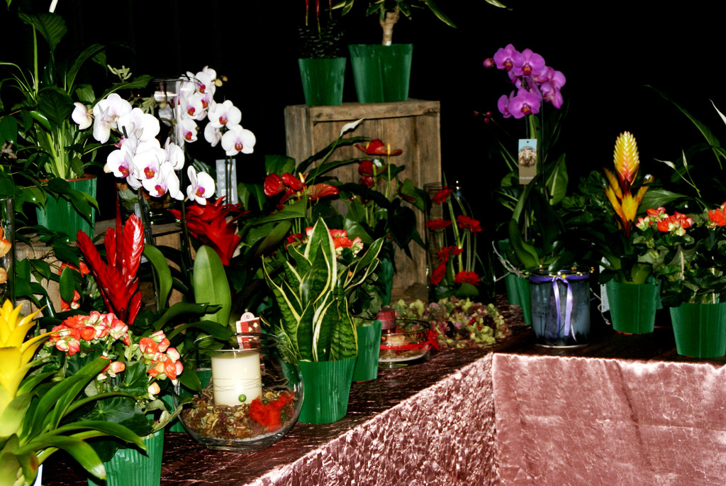 Alle Teilnehmer konnten einen blumigen Gru__ mit nach Hause nehmen.JPG