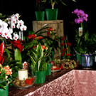 Alle Teilnehmer konnten einen blumigen Gru__ mit nach Hause nehmen.JPG