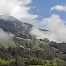_DSC04150003_JPG-1273004822