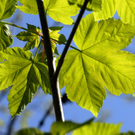 _DSC00040001_1_JPG-1273005048