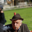 Ziegen und Pferde-64.jpg