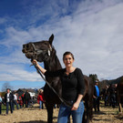 Ziegen und Pferde-63.jpg