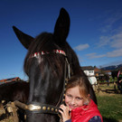 Ziegen und Pferde-61.jpg