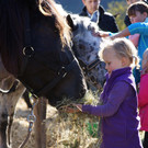Ziegen und Pferde-60.jpg
