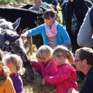 Ziegen und Pferde-58.jpg