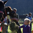 Ziegen und Pferde-55.jpg