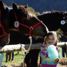 Ziegen und Pferde-53.jpg