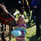 Ziegen und Pferde-52.jpg