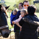 Ziegen und Pferde-50.jpg