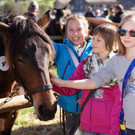 Ziegen und Pferde-49.jpg