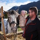 Ziegen und Pferde-44.jpg