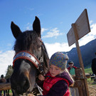 Ziegen und Pferde-38.jpg