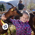 Ziegen und Pferde-33.jpg