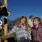 Ziegen und Pferde-32.jpg