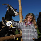 Ziegen und Pferde-31.jpg