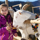 Ziegen und Pferde-27.jpg