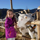 Ziegen und Pferde-26.jpg