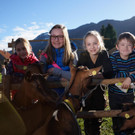 Ziegen und Pferde-22.jpg