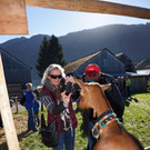 Ziegen und Pferde-21.jpg