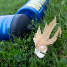file6hmn7mb0j5cicq7m47a.jpg