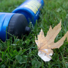 file6hmn74q24nrcnpmr47a.jpg