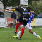 Best of Brederis und Hittisau 