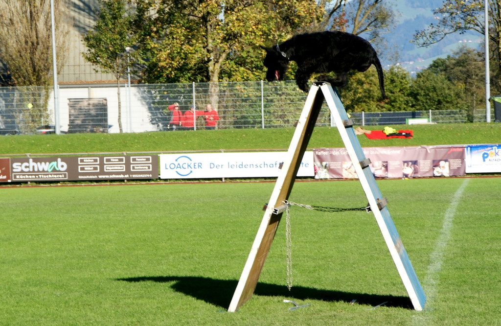 02.JPG