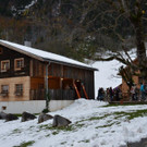 DSC_4461.jpg