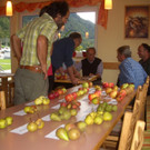Obstsortenbestimung CIMG2099.JPG