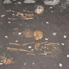 DSC_0043.JPG