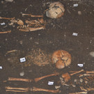DSC_9786 - Kopie.JPG