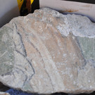 DSC_0023.JPG