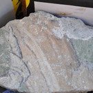 DSC_0024.JPG